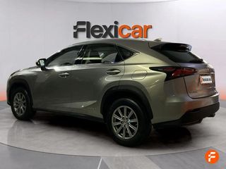 Lexus NX 2.5 300h Corporate 2WD + Navibox