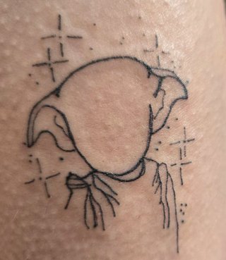 Tatto