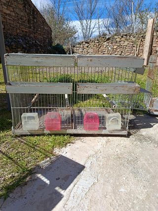 5 Jaulas para pájaros con bebederos y comederos