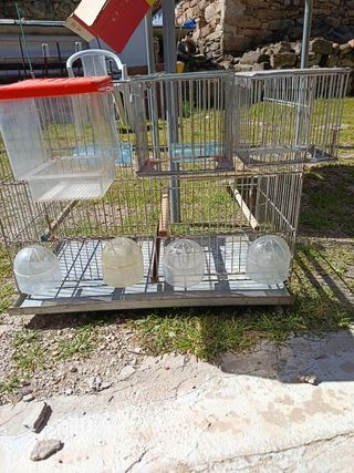 5 Jaulas para pájaros con bebederos y comederos