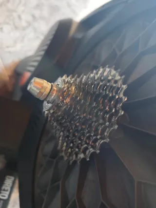 Rodillo Elite Direto