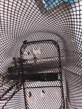 Bicicleta de Ciudad Blanca