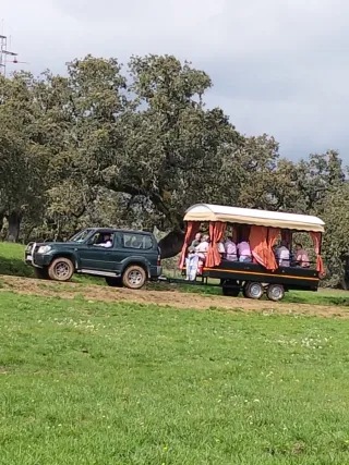 Remolque jardinera romería