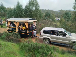 Remolque jardinera romería