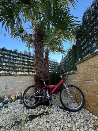 Bicicleta infantil 20''