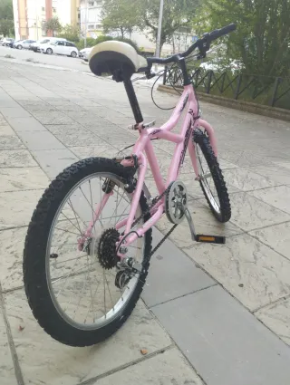 Bicicleta infantil 20 rosa