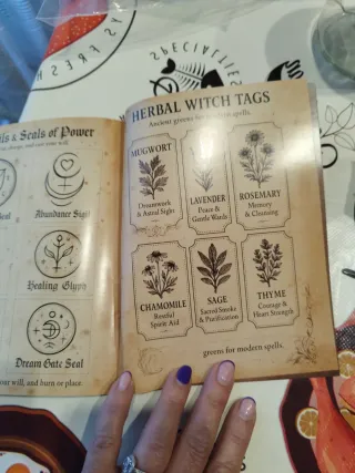 Libro The Witch's Grimoire