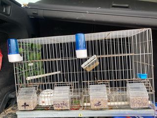 Jaula para pájaros 60 cm