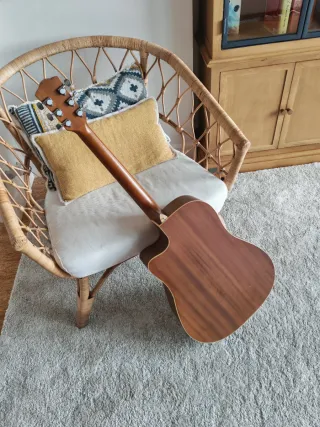 Guitarra Acústica Richwood