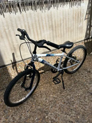 Bicicleta infantil 20 pulgadas