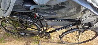 Bicicleta Halley Paseo