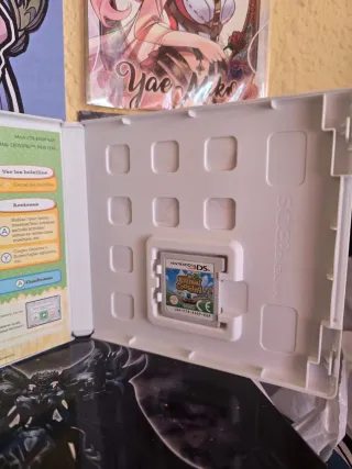 Animal Crossing New Leaf Nintendo 3DS