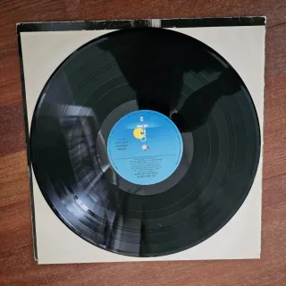 The Waterboys This is the sea Vinilo
