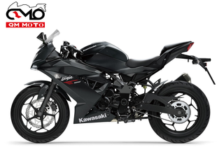 KAWASAKI NINJA 125 (Nueva)