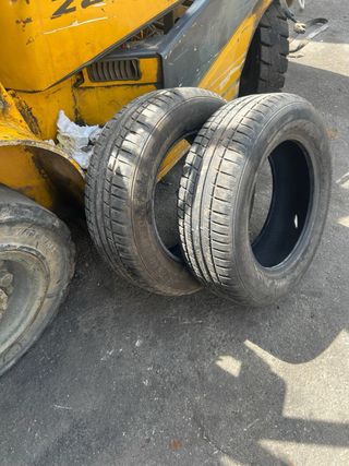 Neumáticos 195/65 R15