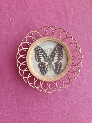 3 Posavasos Antiguos Mariposas