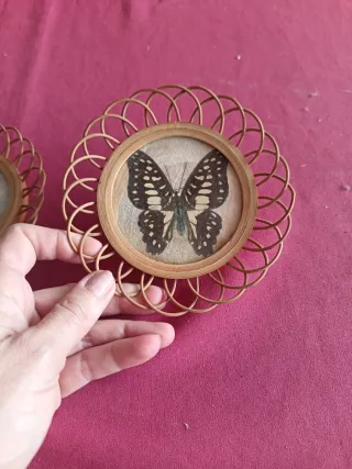 3 Posavasos Antiguos Mariposas