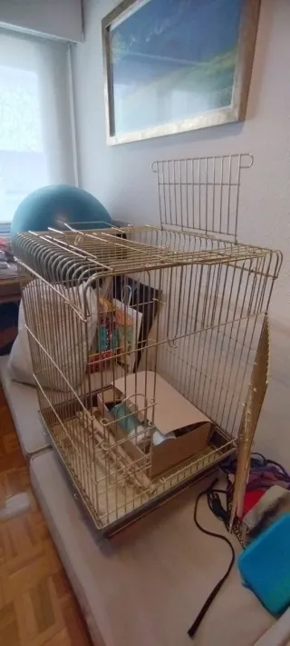 Jaula para loros dorada