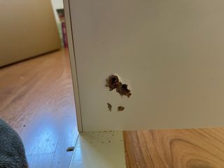 Cama flaxa con cajones y cabecero