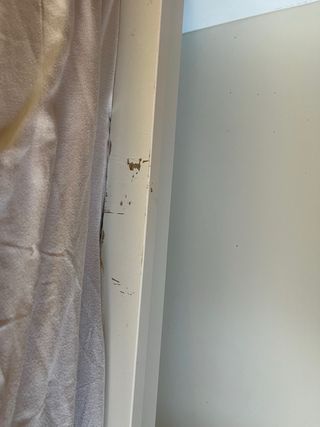 Cama flaxa con cajones y cabecero