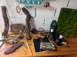 Terrario Exo Terra Grande y accesorios.