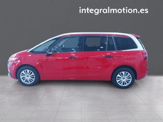 Citroën Grand C4 Spacetourer BlueHDi 96KW (130CV) EAT8 C-Series