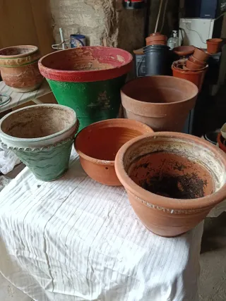 Macetas de cerámica y terracota