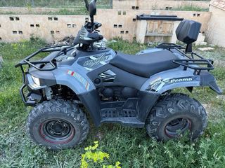 Linhai LH320 Promax EFI 2x4 ATV