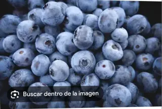 Trabajo de arándanos