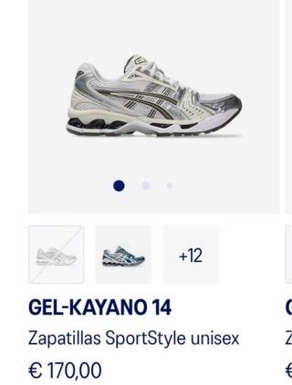 Asics Gel Kayano Plata/Blanco talla 40
