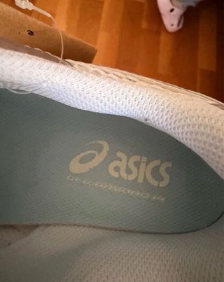 Asics Gel Kayano Plata/Blanco talla 40