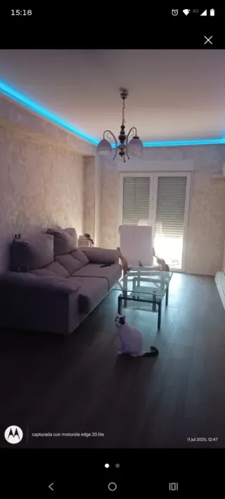 Servicios de pintura y alisado