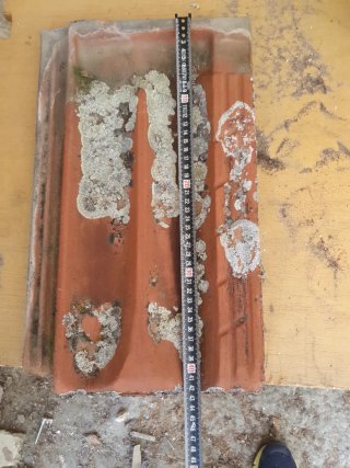 Se regalaTeja plana de terracota