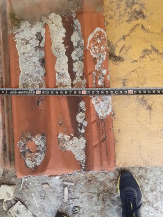 Se regalaTeja plana de terracota
