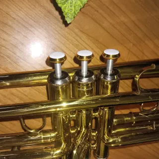 Trompeta XP con estuche