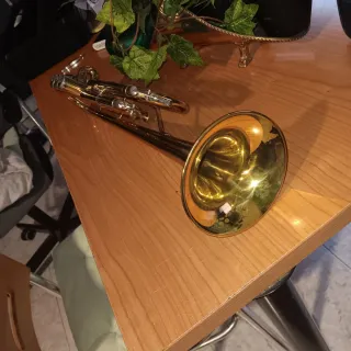 Trompeta XP con estuche