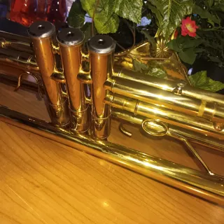 Trompeta XP con estuche