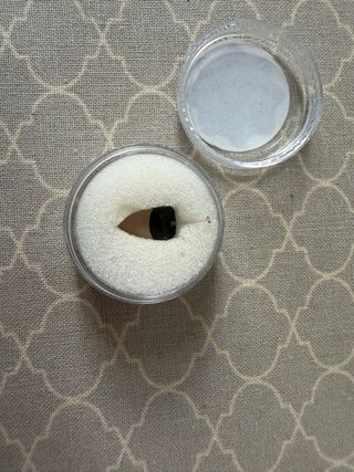 Pinganillo oreja con accesorios