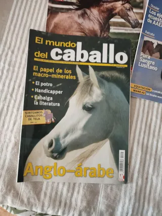 Pack 4 Revistas El Mundo del Caballo