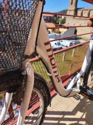 Bicicleta Moma City Classic