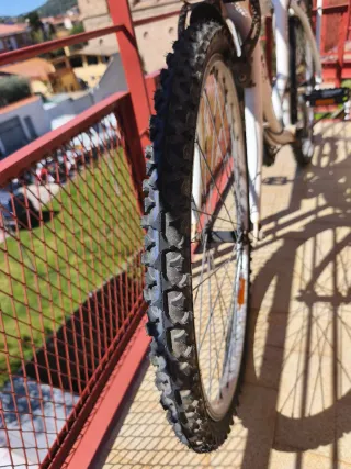 Bicicleta Moma City Classic