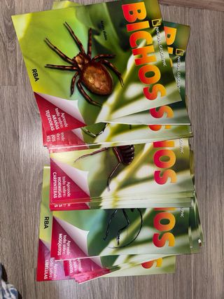 Collezione di insetti in resina