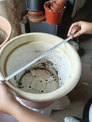 Macetas de terracota y plástico