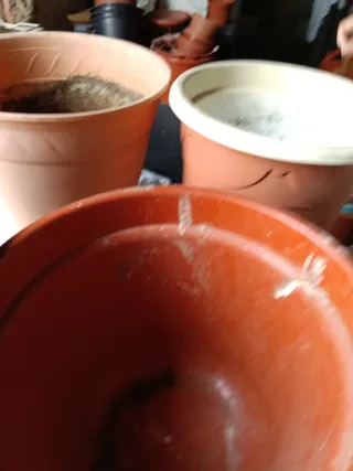 Macetas de terracota y plástico