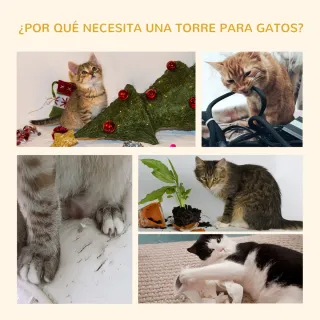 Árbol para Gatos Suelo a Techo 240-260 cm