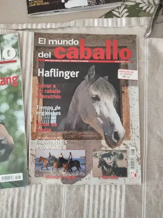 Pack 4 revistas el mundo del caballo
