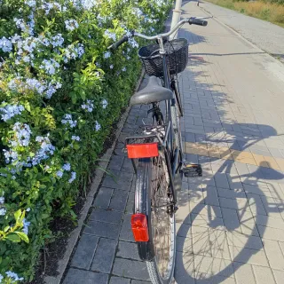 Bicicleta de Paseo Clásica