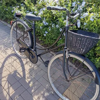 Bicicleta de Paseo Clásica