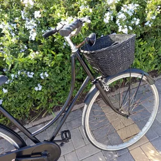 Bicicleta de Paseo Clásica