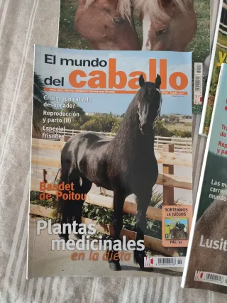 Pack 4 revistas el mundo del caballo